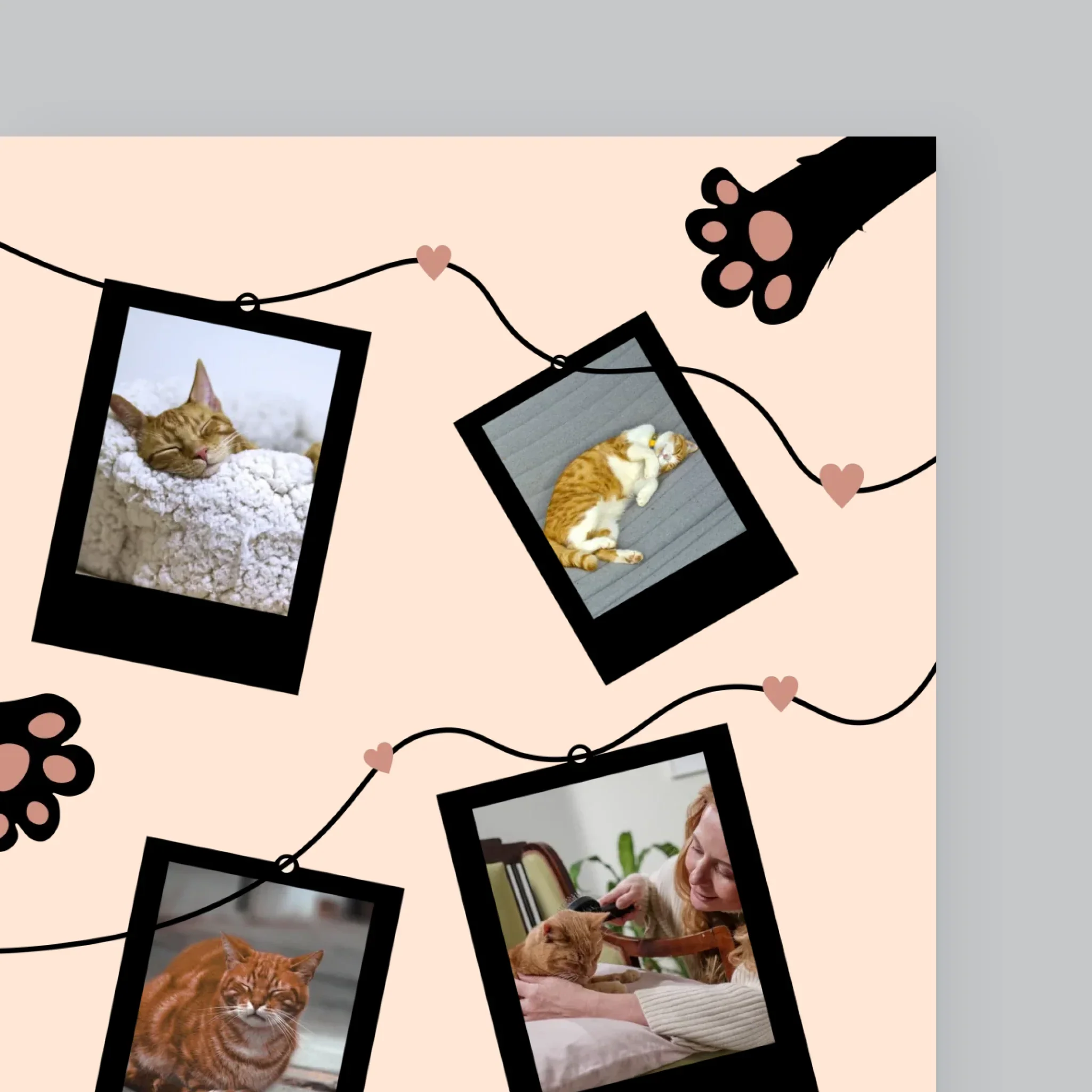 Fotokolaż: Kocia Mama Polaroidy - Wydruk Obramowany - Image 10