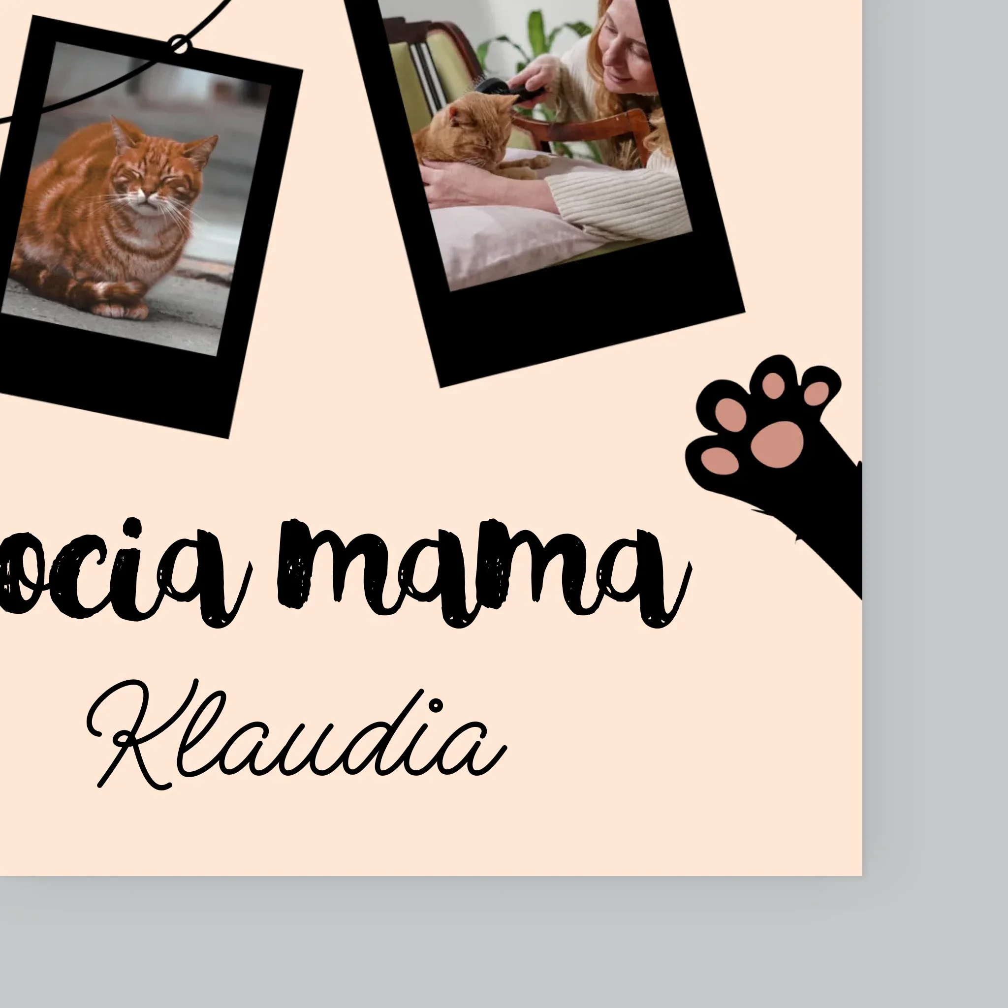 Fotokolaż: Kocia Mama Polaroidy - Wydruk Obramowany - Image 11
