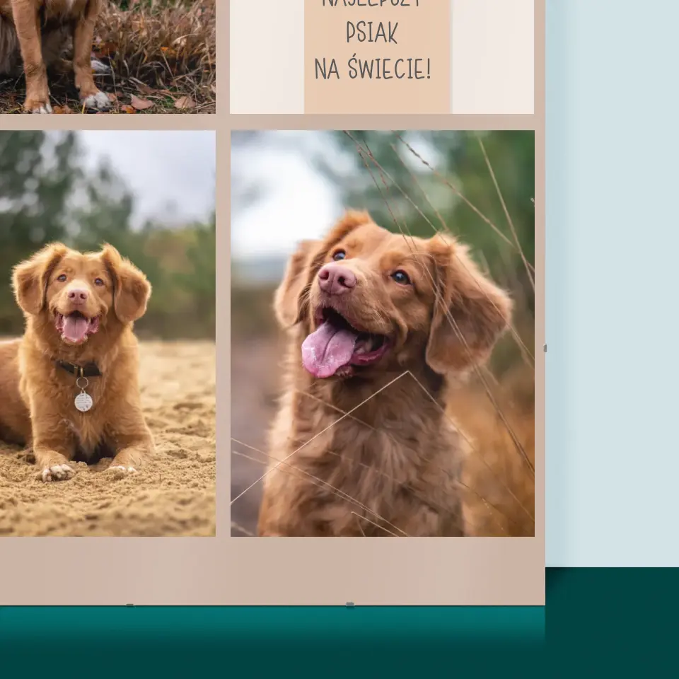 Fotokolaż: Najlepszy Pies - Personalizowany Plakat - Image 2