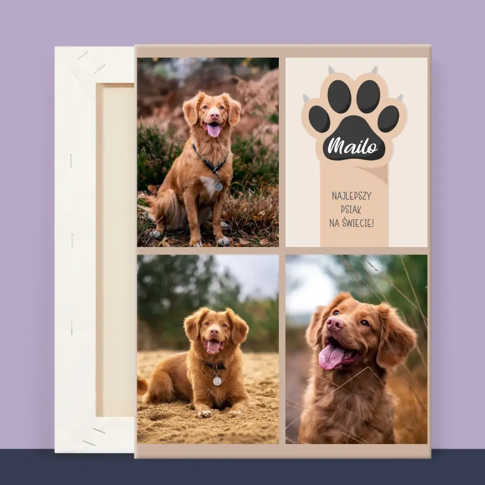 Fotokolaż: Najlepszy Pies - Wydruk Obramowany - Image 13