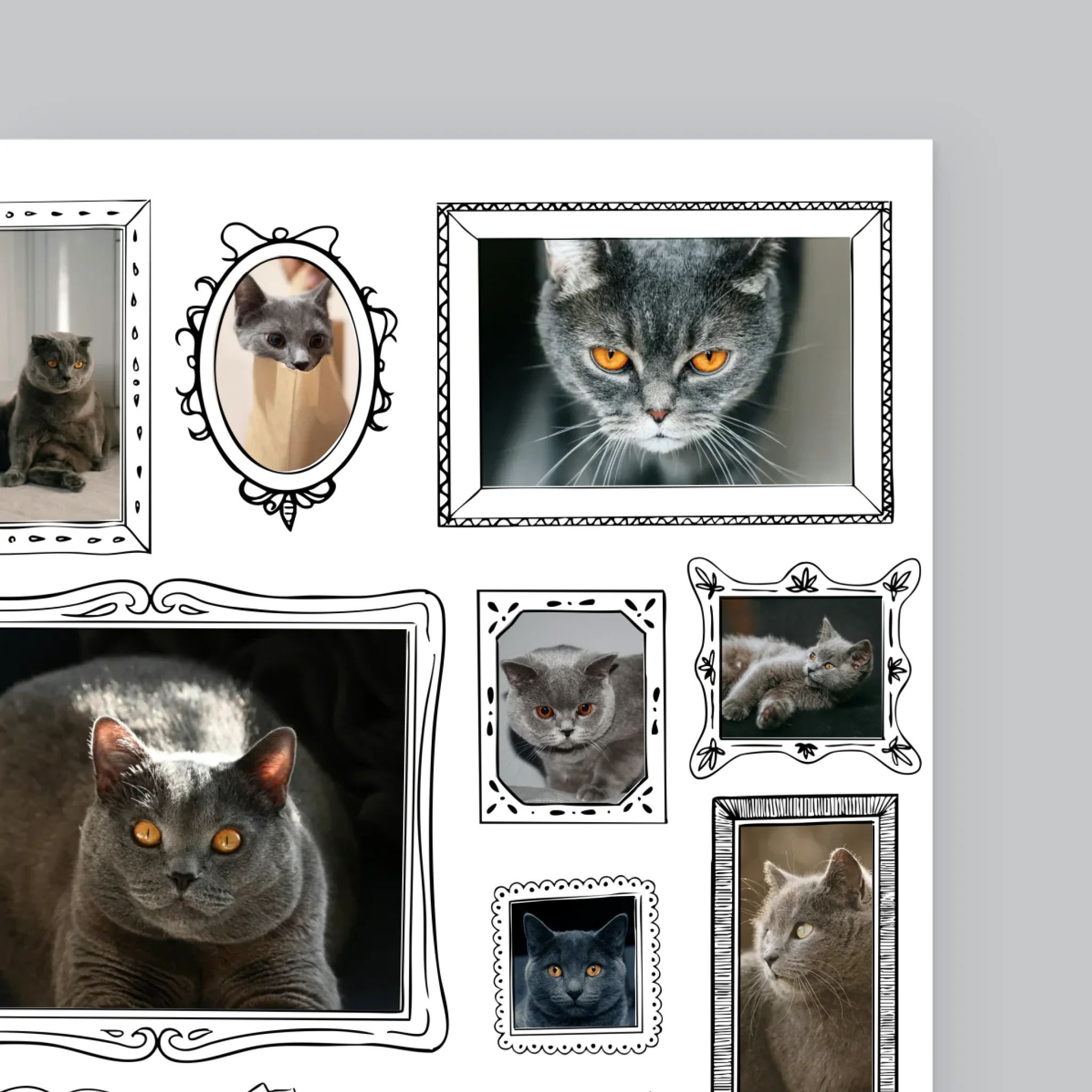 Fotokolaż: Ściana Galerii z Pupilem - Wydruk Obramowany - Image 10