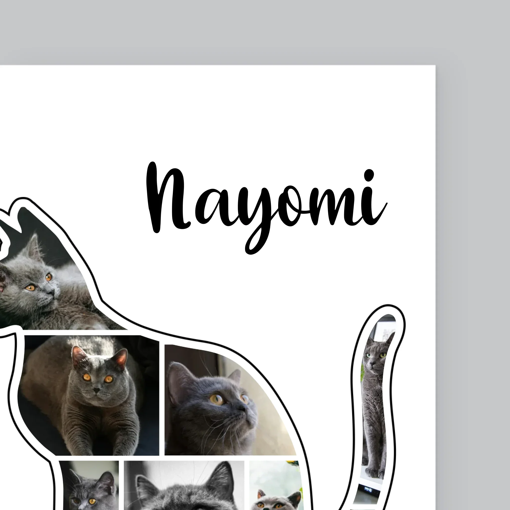 Kształt Ze Zdjęć: Kot Najlepszy Przyjaciel - Wydruk Obramowany - Image 10