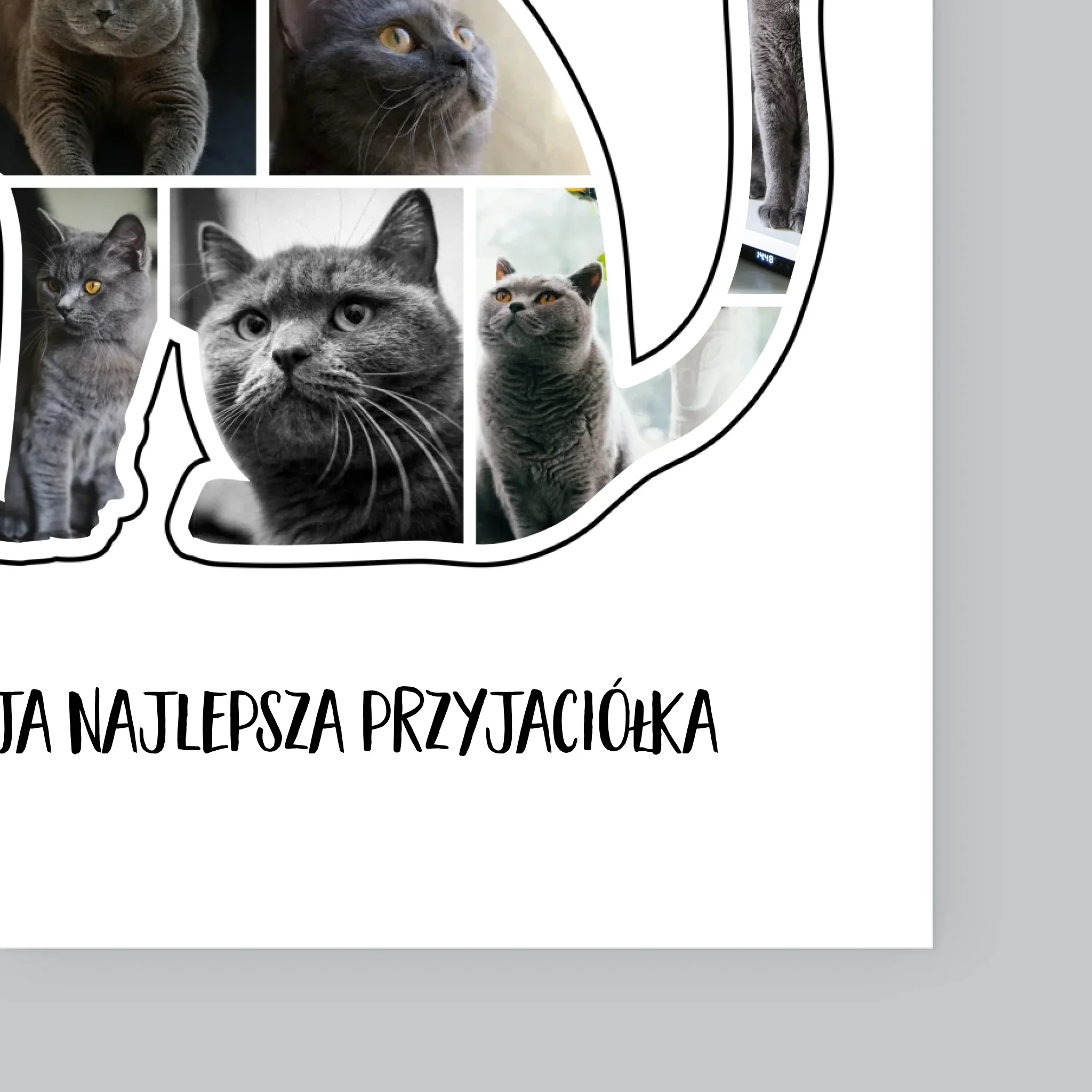 Kształt Ze Zdjęć: Kot Najlepszy Przyjaciel - Wydruk Obramowany - Image 11