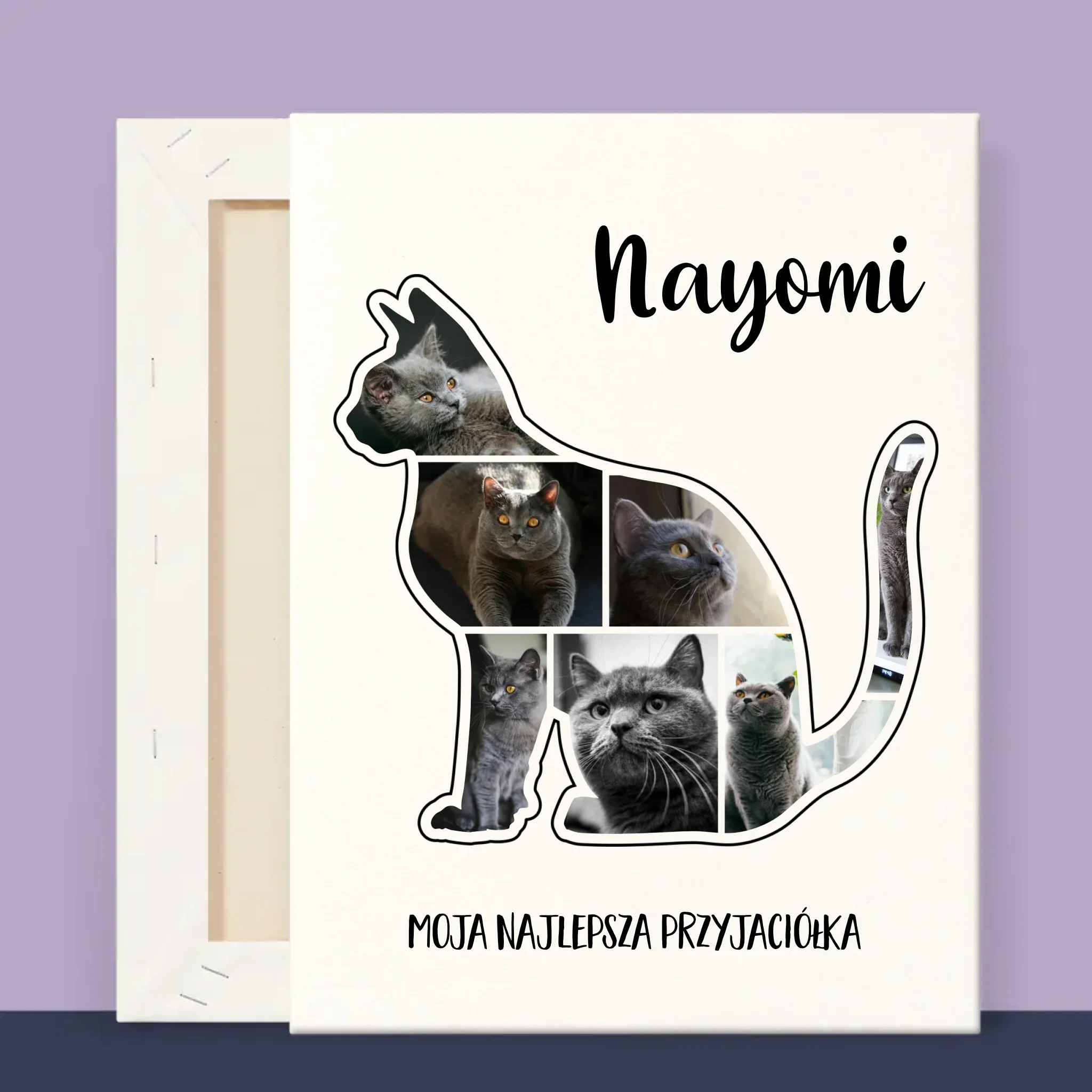 Kształt Ze Zdjęć: Kot Najlepszy Przyjaciel - Wydruk Obramowany - Image 12