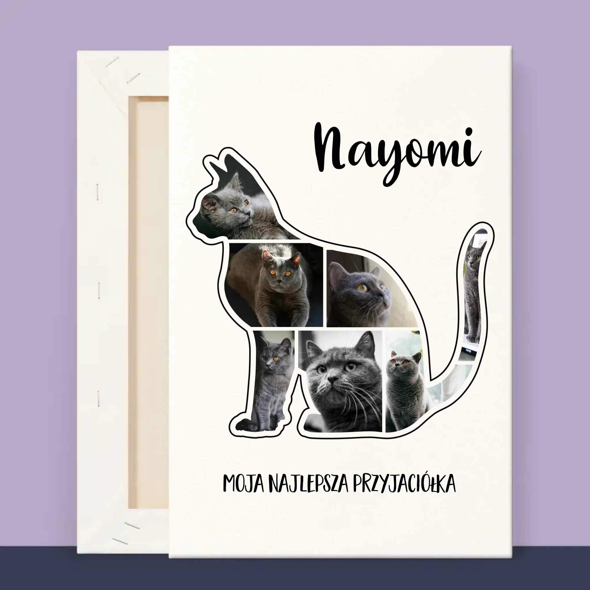Kształt Ze Zdjęć: Kot Najlepszy Przyjaciel - Wydruk Obramowany - Image 13