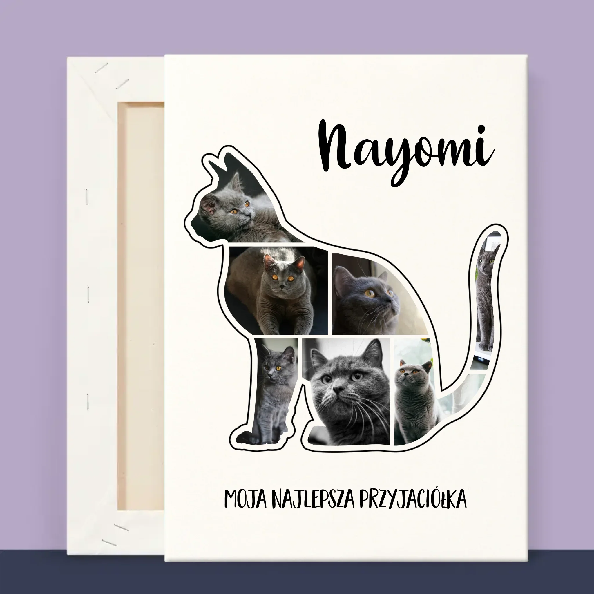 Kształt Ze Zdjęć: Kot Najlepszy Przyjaciel - Wydruk Obramowany - Image 14