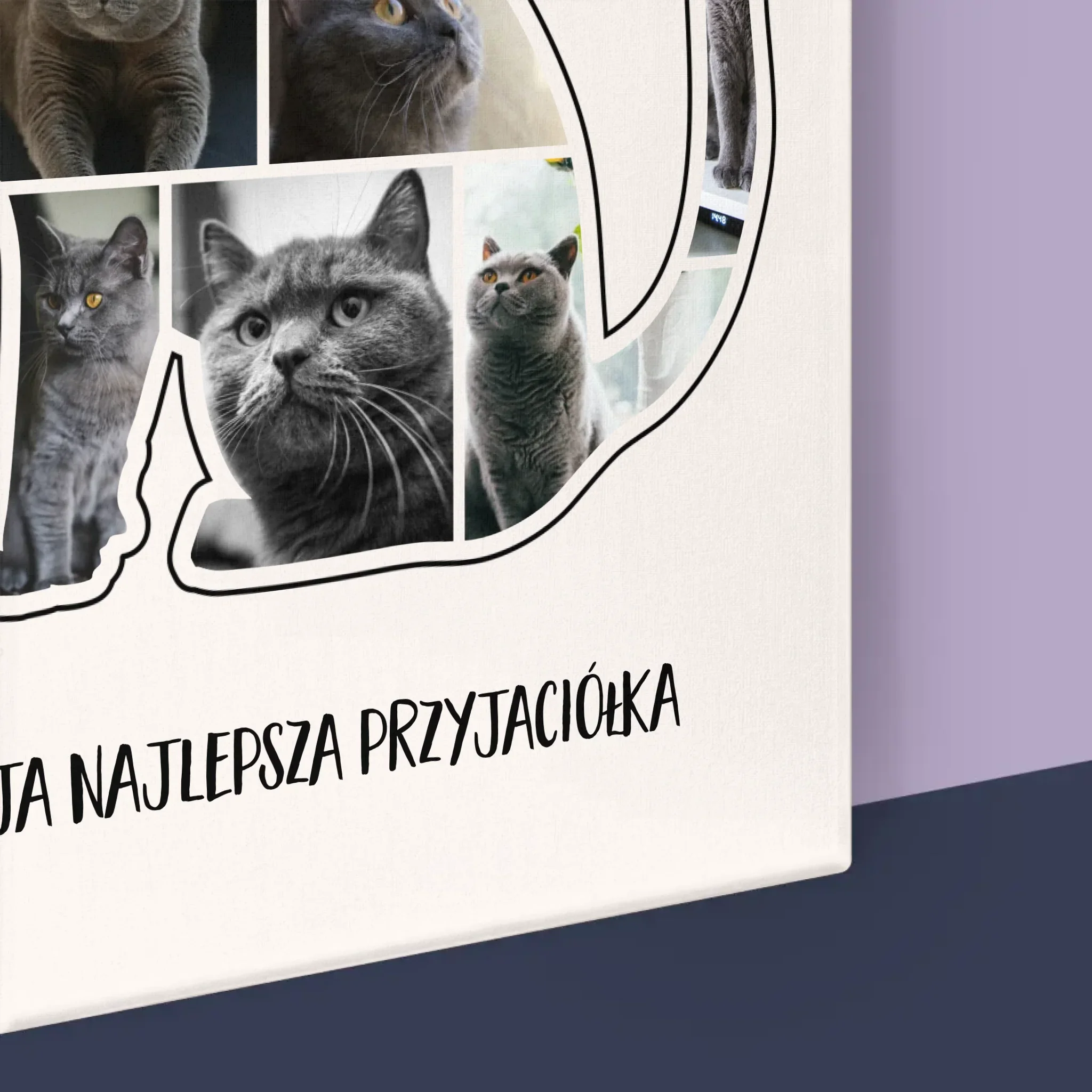 Kształt Ze Zdjęć: Kot Najlepszy Przyjaciel - Wydruk Obramowany - Image 17