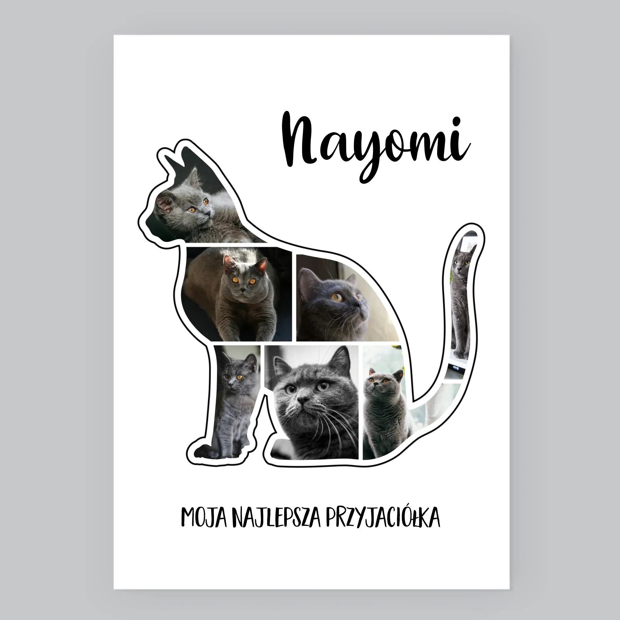 Kształt Ze Zdjęć: Kot Najlepszy Przyjaciel - Wydruk Obramowany - Image 8