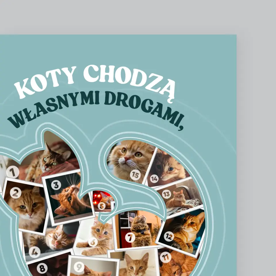 Kształt Ze Zdjęć: Kot - Wydruk Obramowany - Image 3