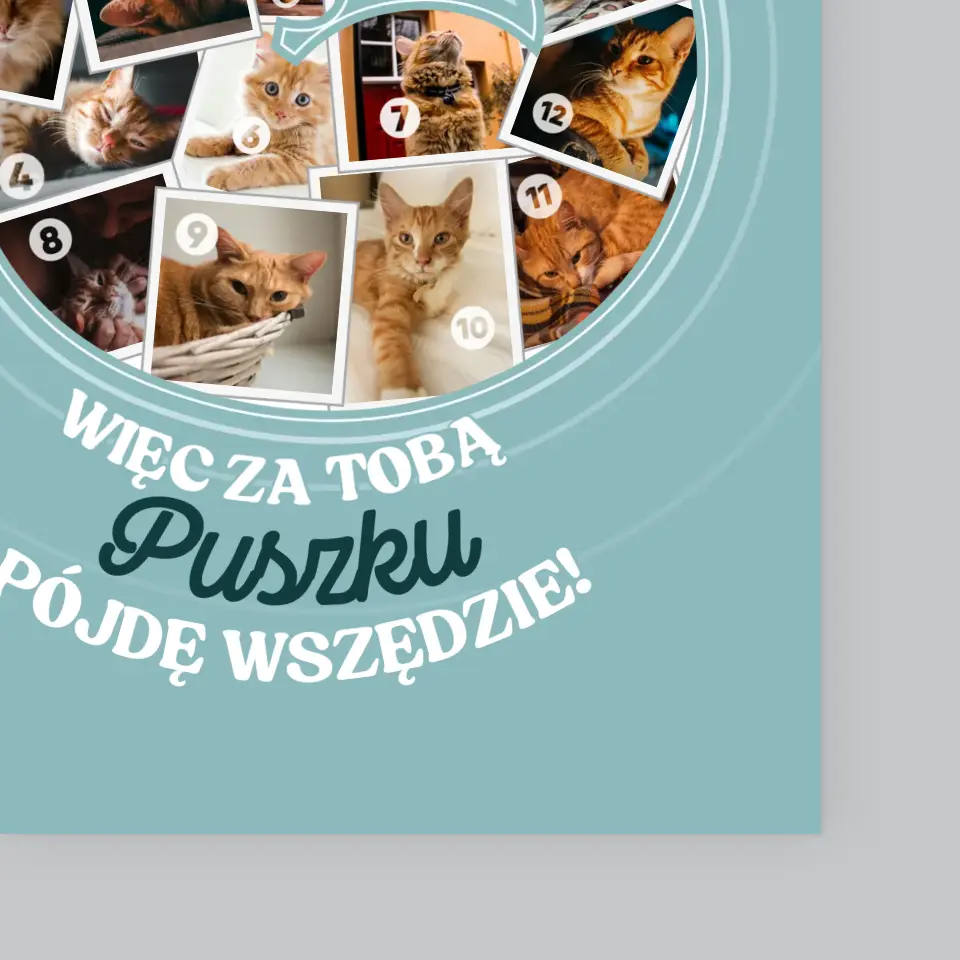 Kształt Ze Zdjęć: Kot - Wydruk Obramowany - Image 4