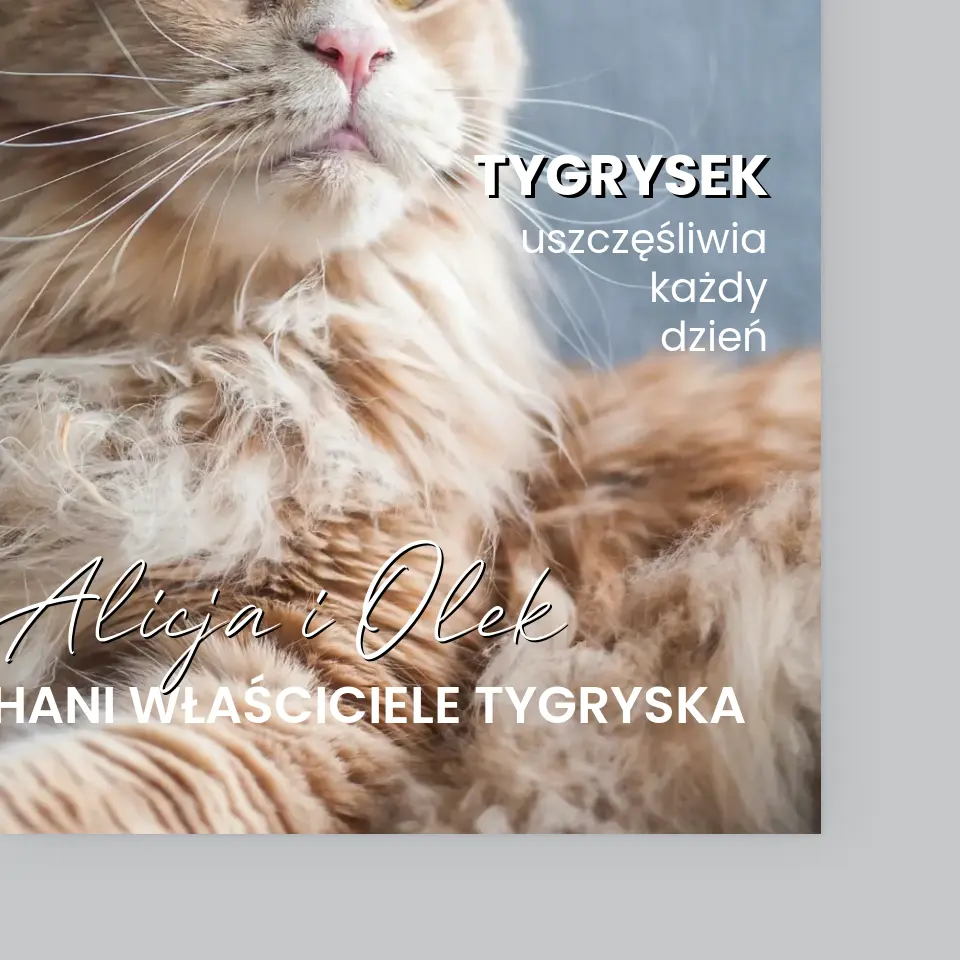 Okładka Magazynu: Futrzasty Przyjaciel - Wydruk Obramowany - Image 4