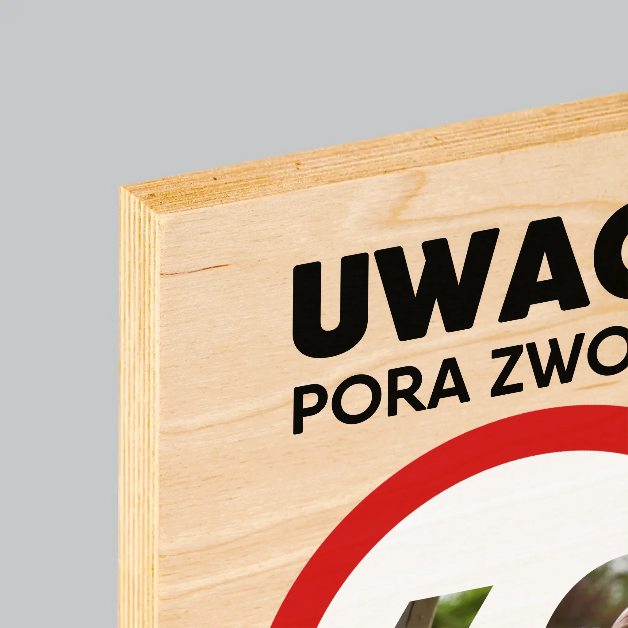 Słowo Ze Zdjęć: 60 Pora Zwolnić - Wydruk Na Drewnie - Image 4