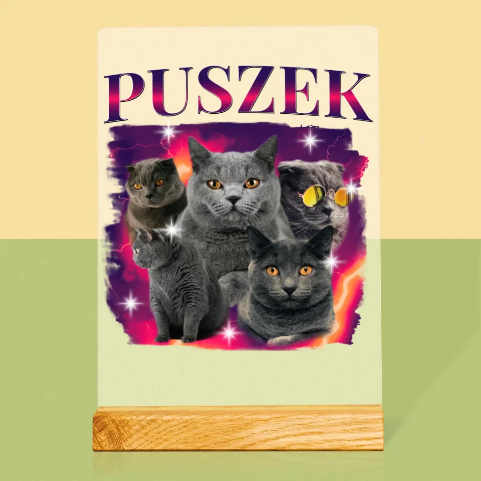 Twoja Postać: Bootleg Z Twoim Kotem - Wydruk Na Szkle Akrylowym - Image 3