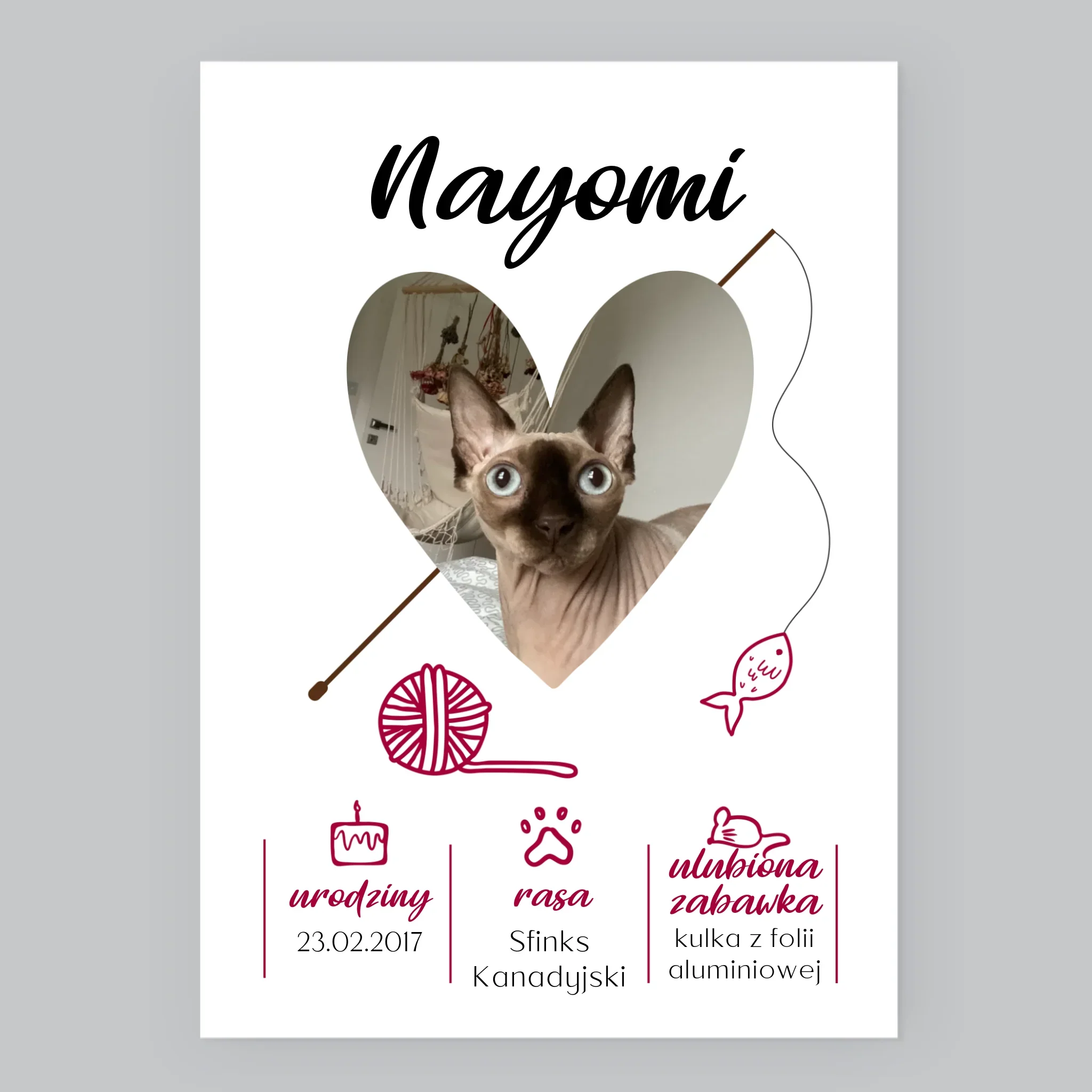 Zdjęcie i Podpis: Kocia Metryczka - Wydruk Obramowany - Image 8