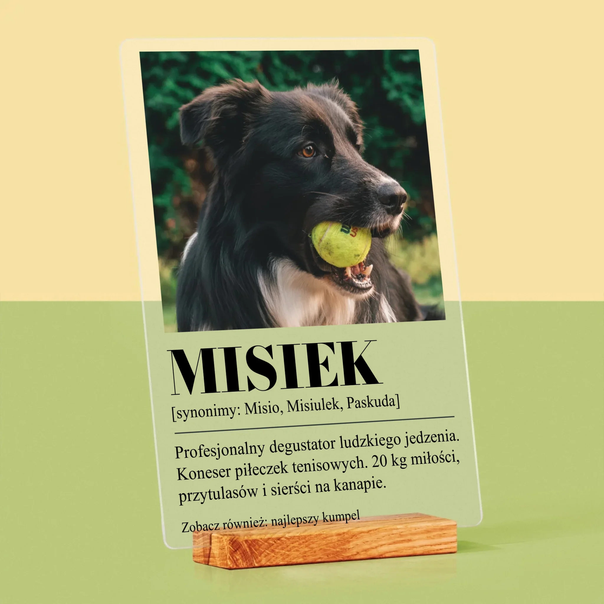 Zdjęcie i Podpis: Pupil Definicja - Wydruk Na Szkle Akrylowym - Image 4