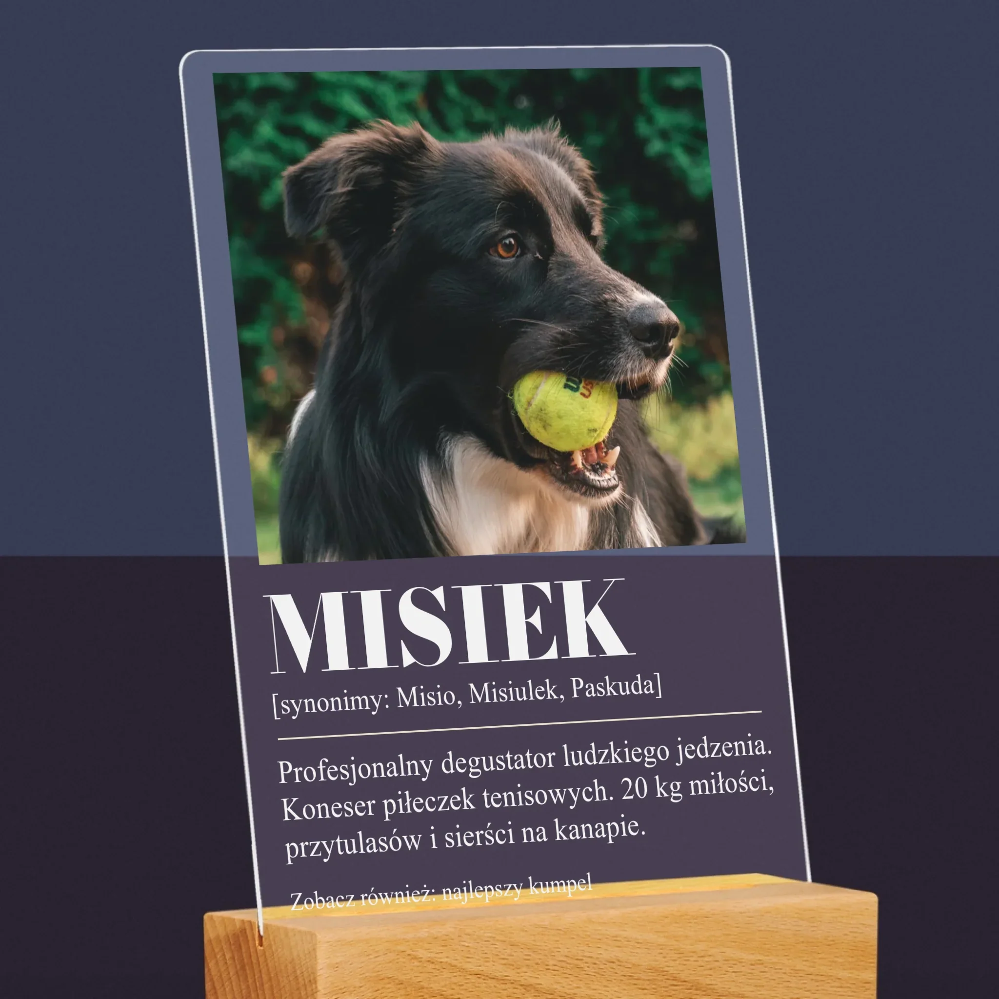 Zdjęcie i Podpis: Pupil Definicja - Wydruk Na Szkle Akrylowym - Image 6