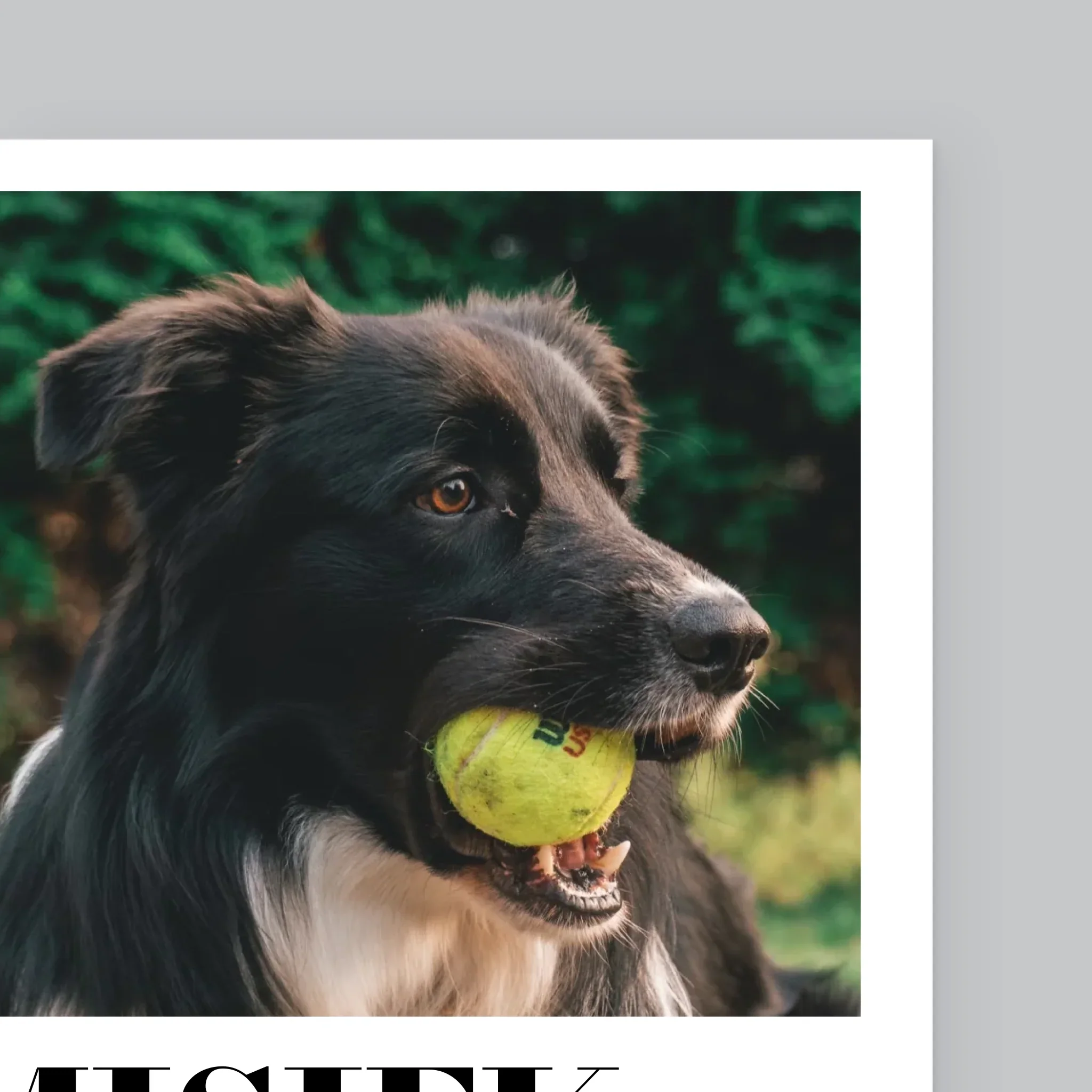 Zdjęcie i Podpis: Pupil Definicja - Wydruk Obramowany - Image 10