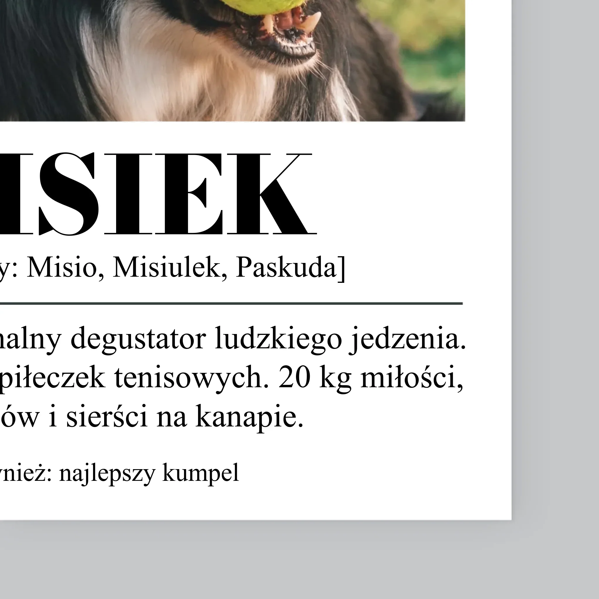 Zdjęcie i Podpis: Pupil Definicja - Wydruk Obramowany - Image 11