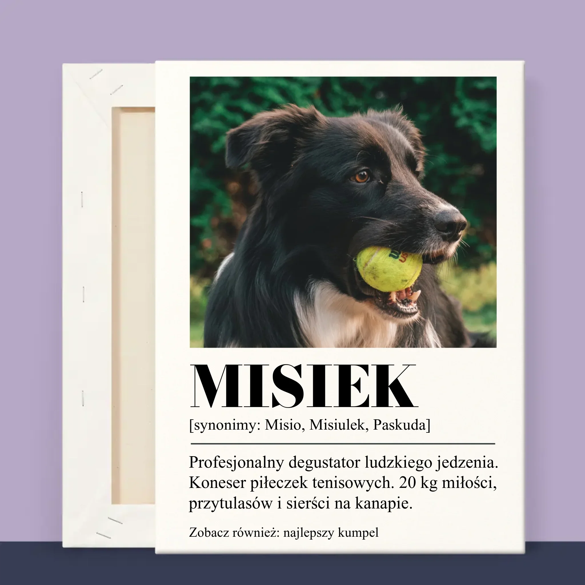 Zdjęcie i Podpis: Pupil Definicja - Wydruk Obramowany - Image 12