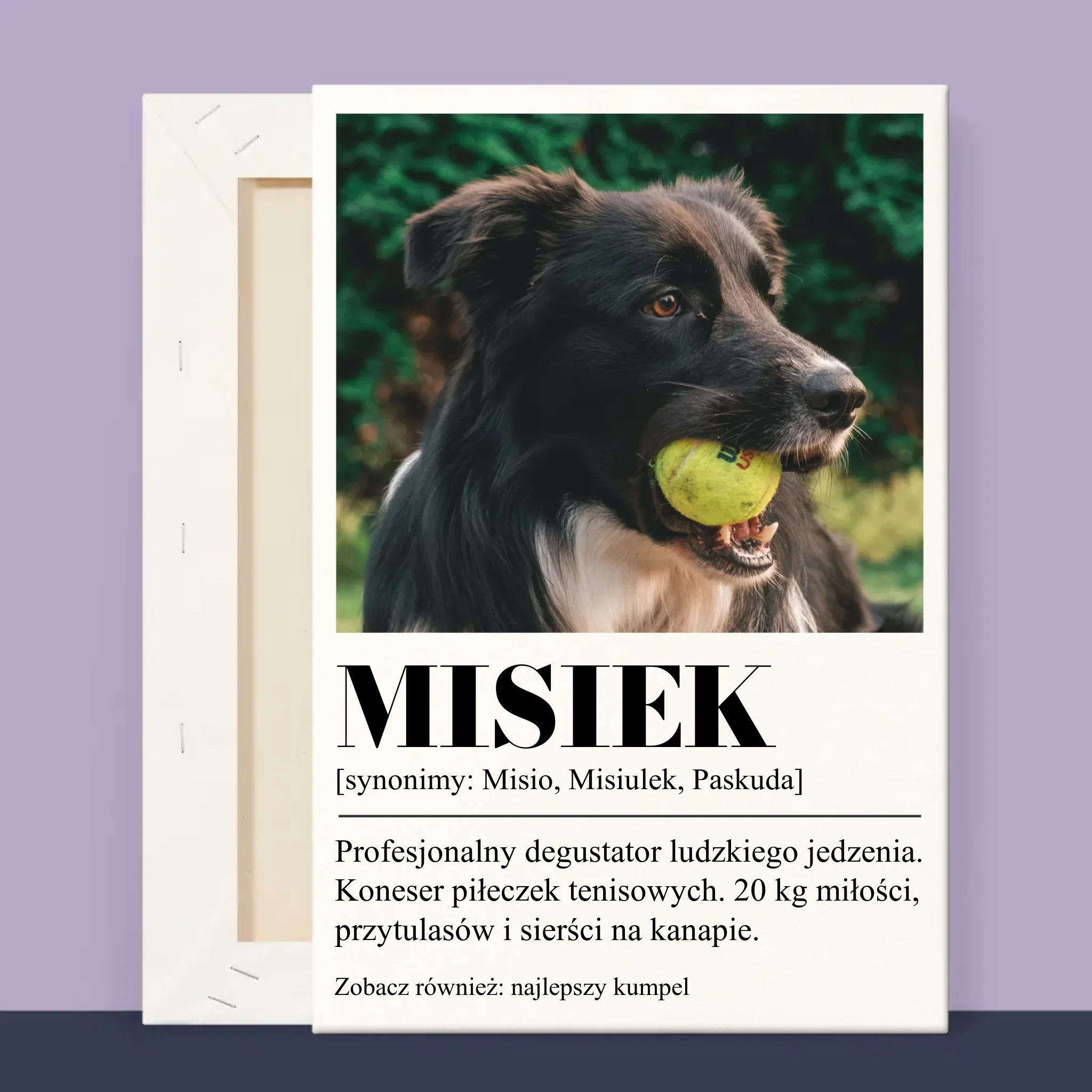 Zdjęcie i Podpis: Pupil Definicja - Wydruk Obramowany - Image 13