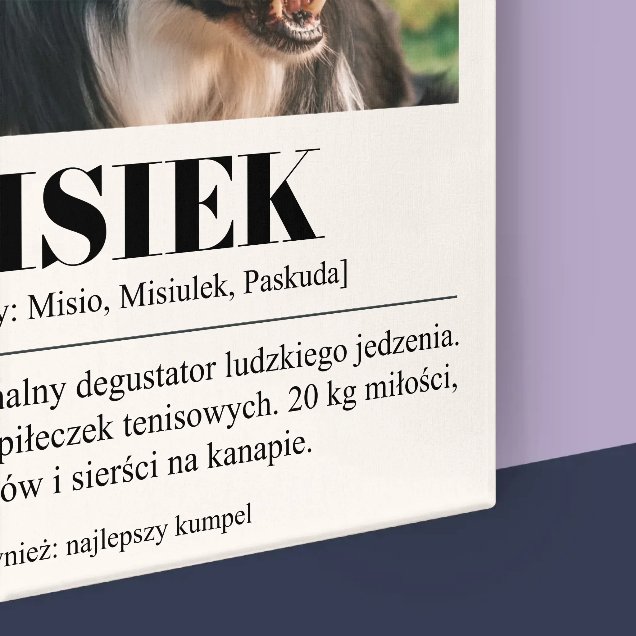 Zdjęcie i Podpis: Pupil Definicja - Wydruk Obramowany - Image 17