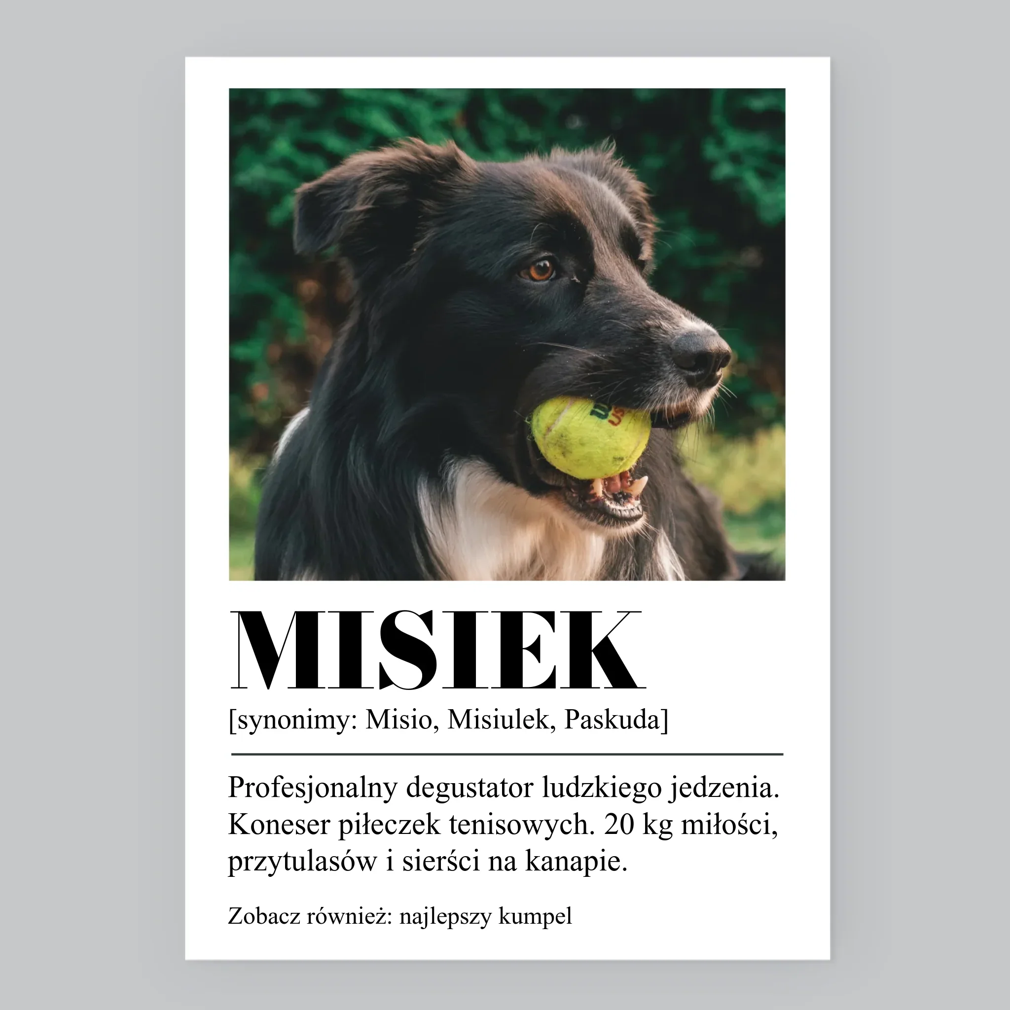 Zdjęcie i Podpis: Pupil Definicja - Wydruk Obramowany - Image 8